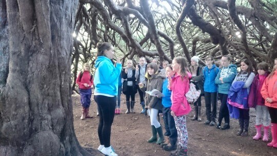 Brownies taking oath under Yew Tree